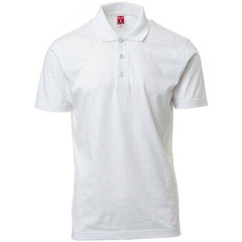 Payper Wear Polo Shirt Korte Mouw  Polo Amalfi