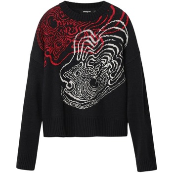 Desigual Trui  Pull Toulouse Lacroix