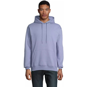 Sol's Sweater  Sweatshirt à capuche Condor