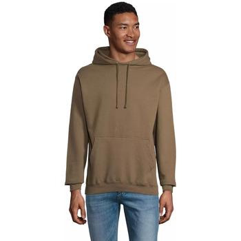 Sol's Sweater  Sweatshirt à capuche Condor