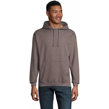 Sol's Sweater  Sweatshirt à capuche Condor