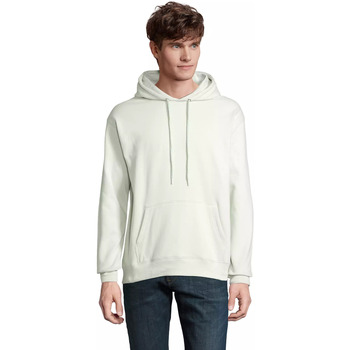Sol's Sweater  Sweatshirt à capuche Condor