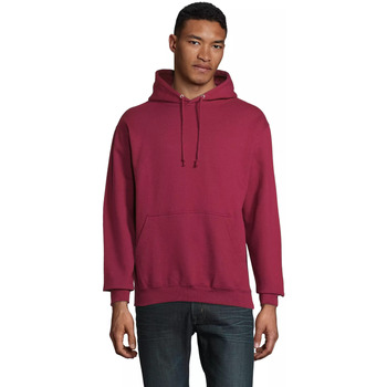 Sol's Sweater  Sweatshirt à capuche Condor