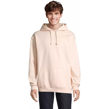 Sol's Sweater  Sweatshirt à capuche Condor