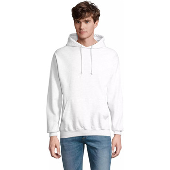 Sol's Sweater  Sweatshirt à capuche Condor