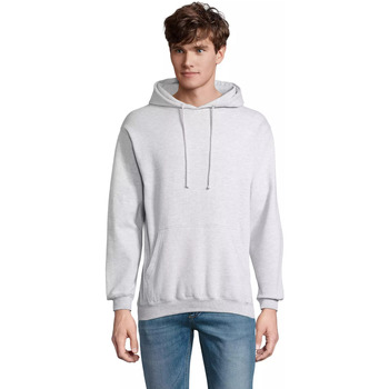 Sol's Sweater  Sweatshirt à capuche Condor