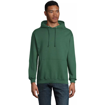 Sol's Sweater  Sweatshirt à capuche Condor