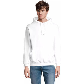 Sol's Sweater  Sweatshirt à capuche Condor