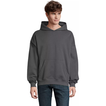 Sol's Sweater  Sweatshirt à capuche Connor