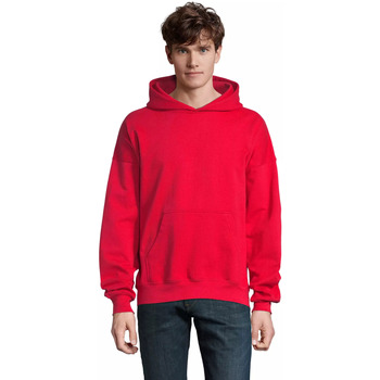 Sol's Sweater  Sweatshirt à capuche Connor