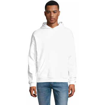 Sol's Sweater  Sweatshirt à capuche Connor