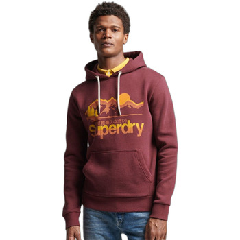 Superdry Sweater  Sweatshirt à capuche Cl Great