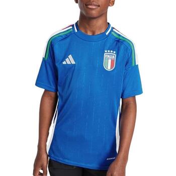 Adidas T-shirt  -