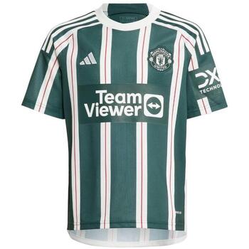 Adidas T-shirt  -