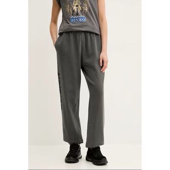 Pinko Broek  PLUMCAKE 104790 A2CV-I63