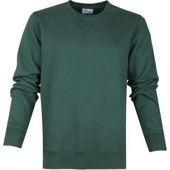 Colorful Standard Sweater  Sweater Organic Groen