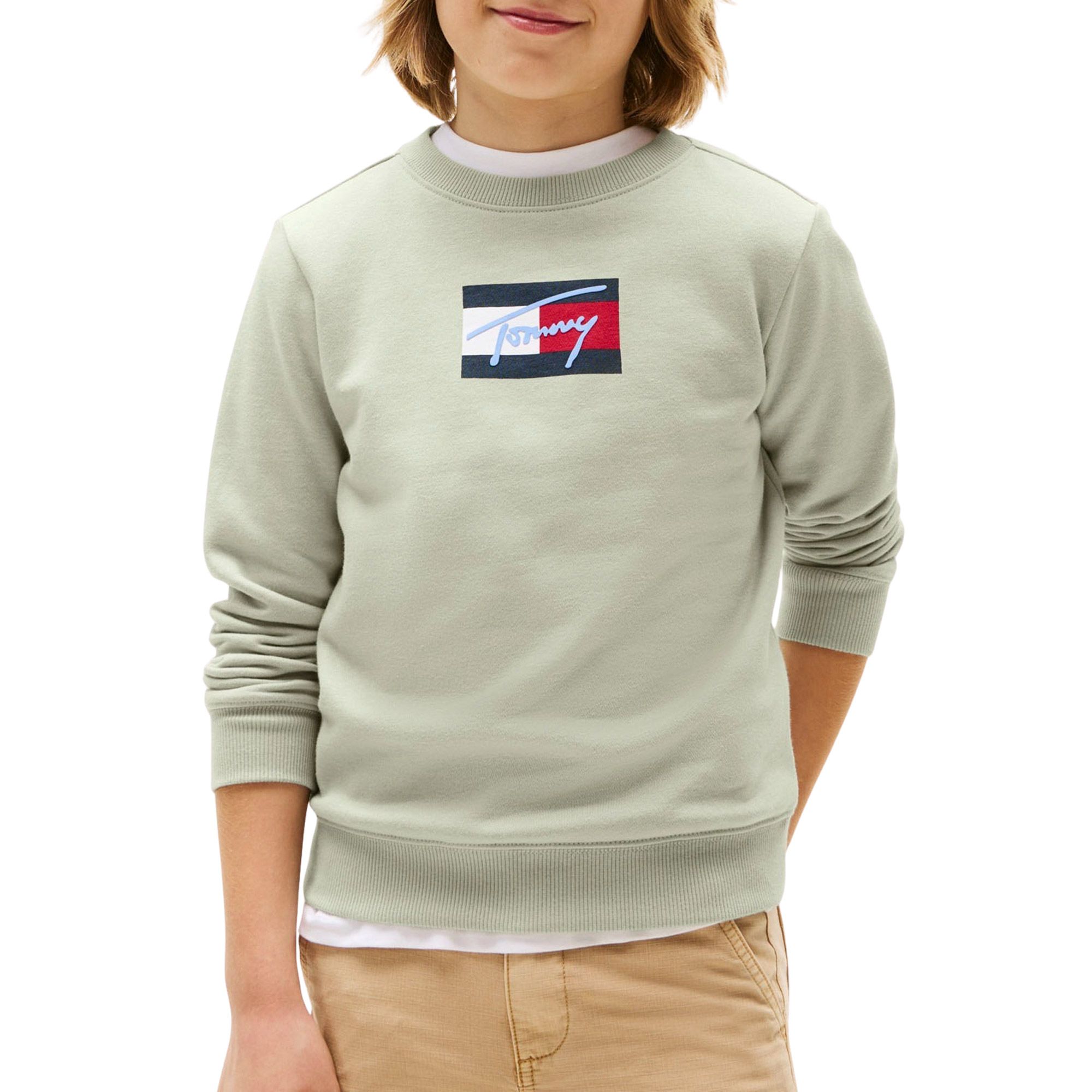 Tommy Hilfiger Script Flag Sweater Junior