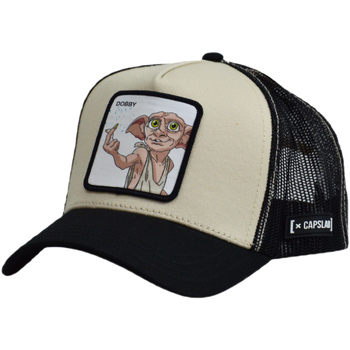 Capslab Pet  Marvel Harry Potter Cap