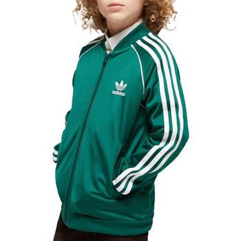 Adidas Blazer  -
