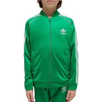 Adidas Blazer  -