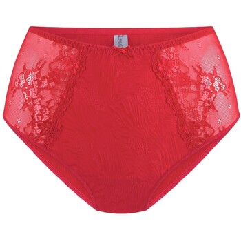 Lingadore Slips  DAILY Slip