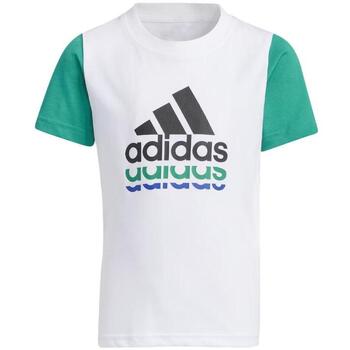 Adidas T-shirt  -
