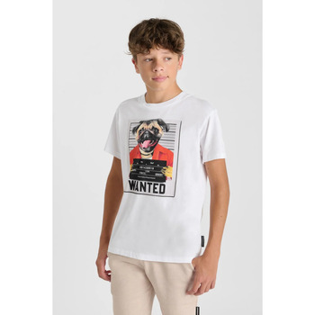Le Temps des Cerises T-shirt  T-shirt RENAUDBO