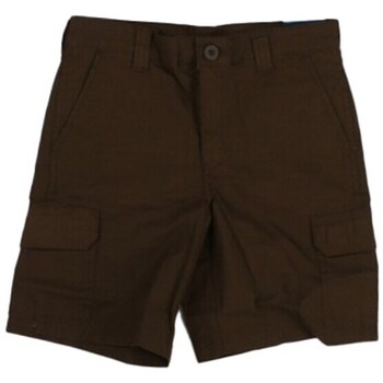 Dickies Korte Broek  DK0A862Z