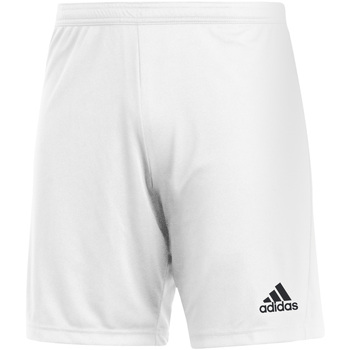 Adidas Korte Broek  -