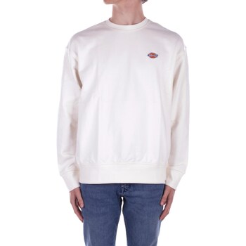 Dickies Trui  DK0A4YLZ