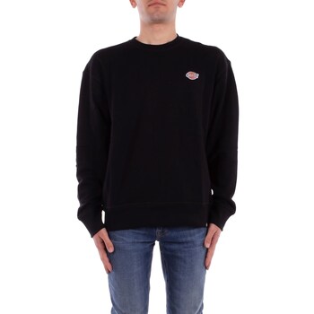 Dickies Trui  DK0A4YLZ