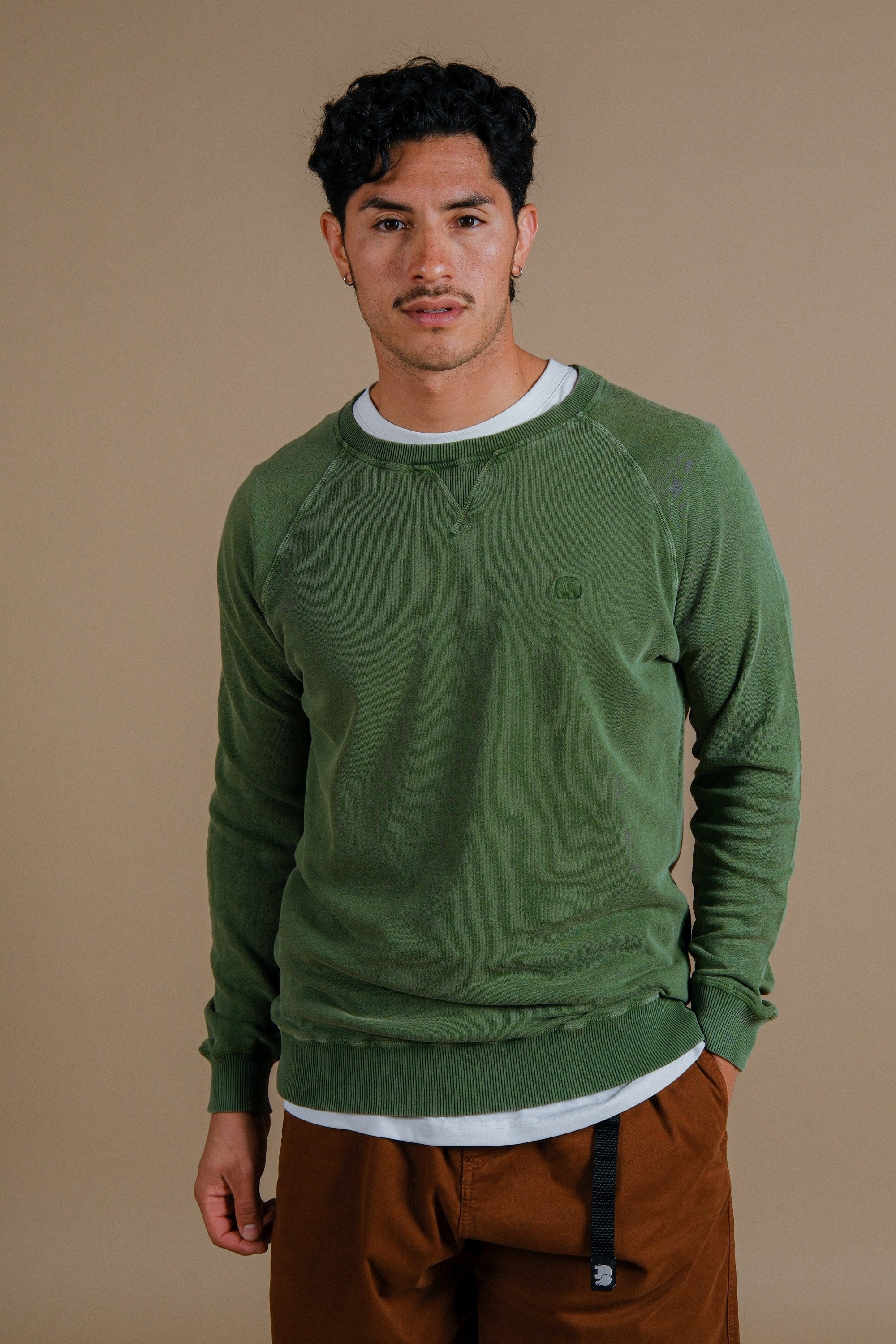 Trendsplant Herren vegan Pullover Essential Pigment Pinnas GrÃ¼n