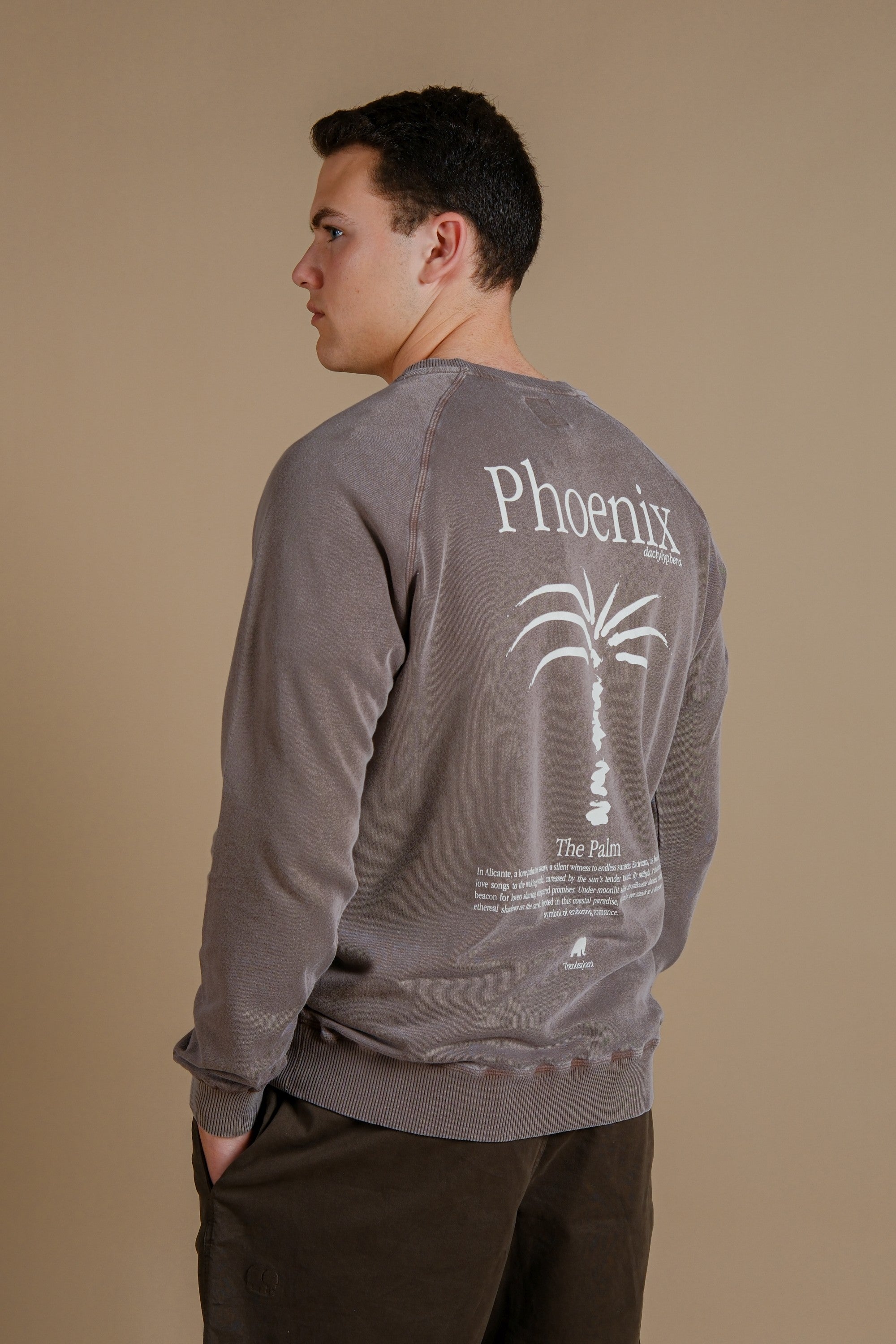 Trendsplant Herren vegan Pullover Washingtonia Pigment WÃ¼stenpalme