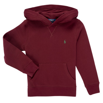 Polo Ralph Lauren Sweater  LS PO HOOD