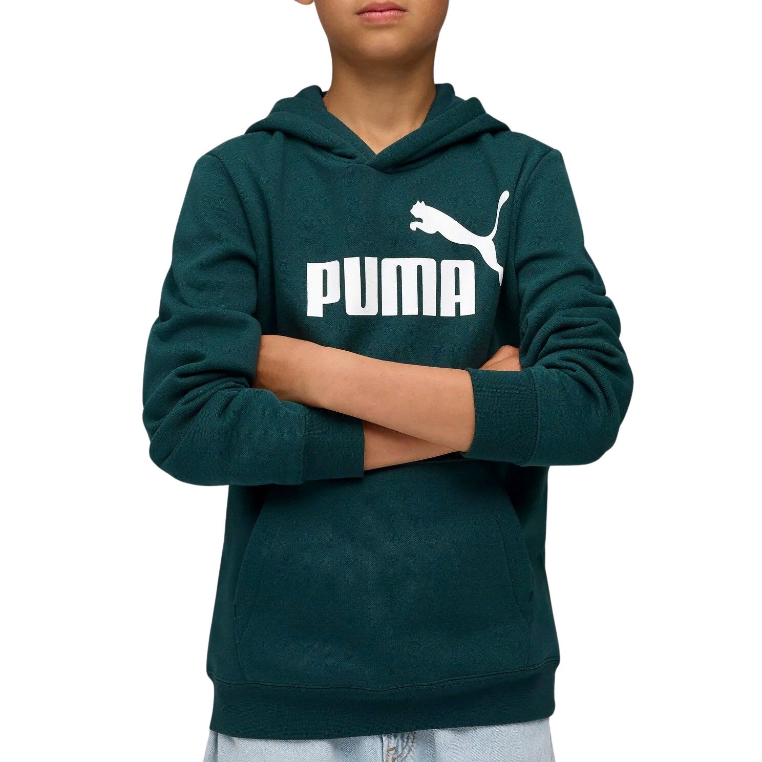 PUMA Hoodie ESS NO. 1 LOGO HOODIE FL B