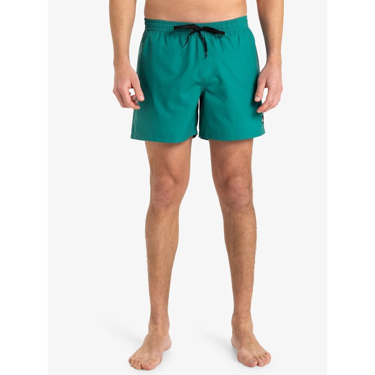 Quiksilver Zwemshort EVERYDAY VOLLEY 15 (1 stuk)