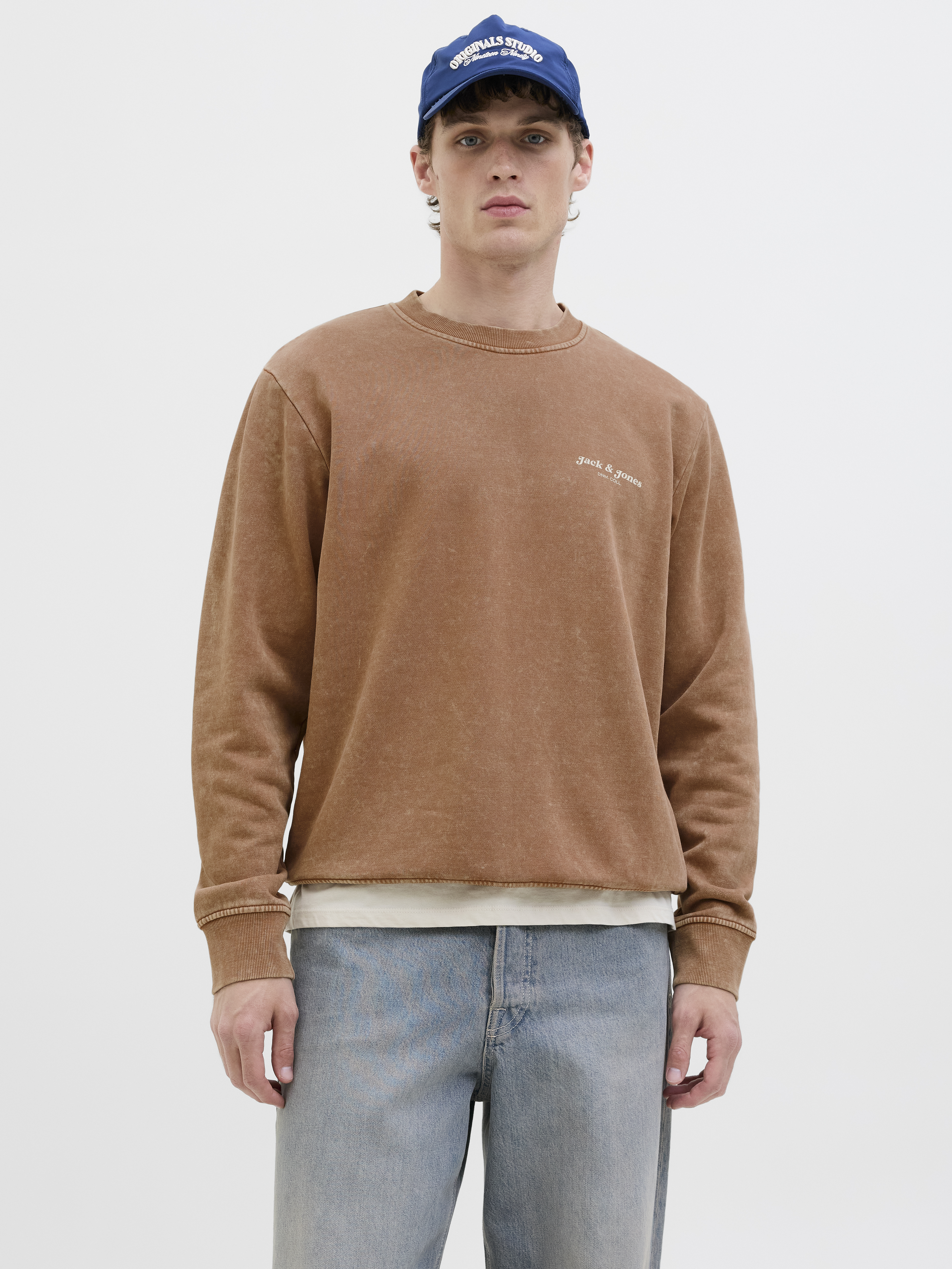 Jack & Jones Sweatshirt JJEDOVER PRINT SWEAT CREW NECK