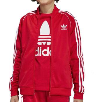 Adidas Blazer  -