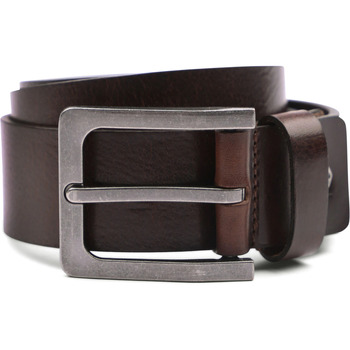 Profuomo Riem  Riem Polish Bruin