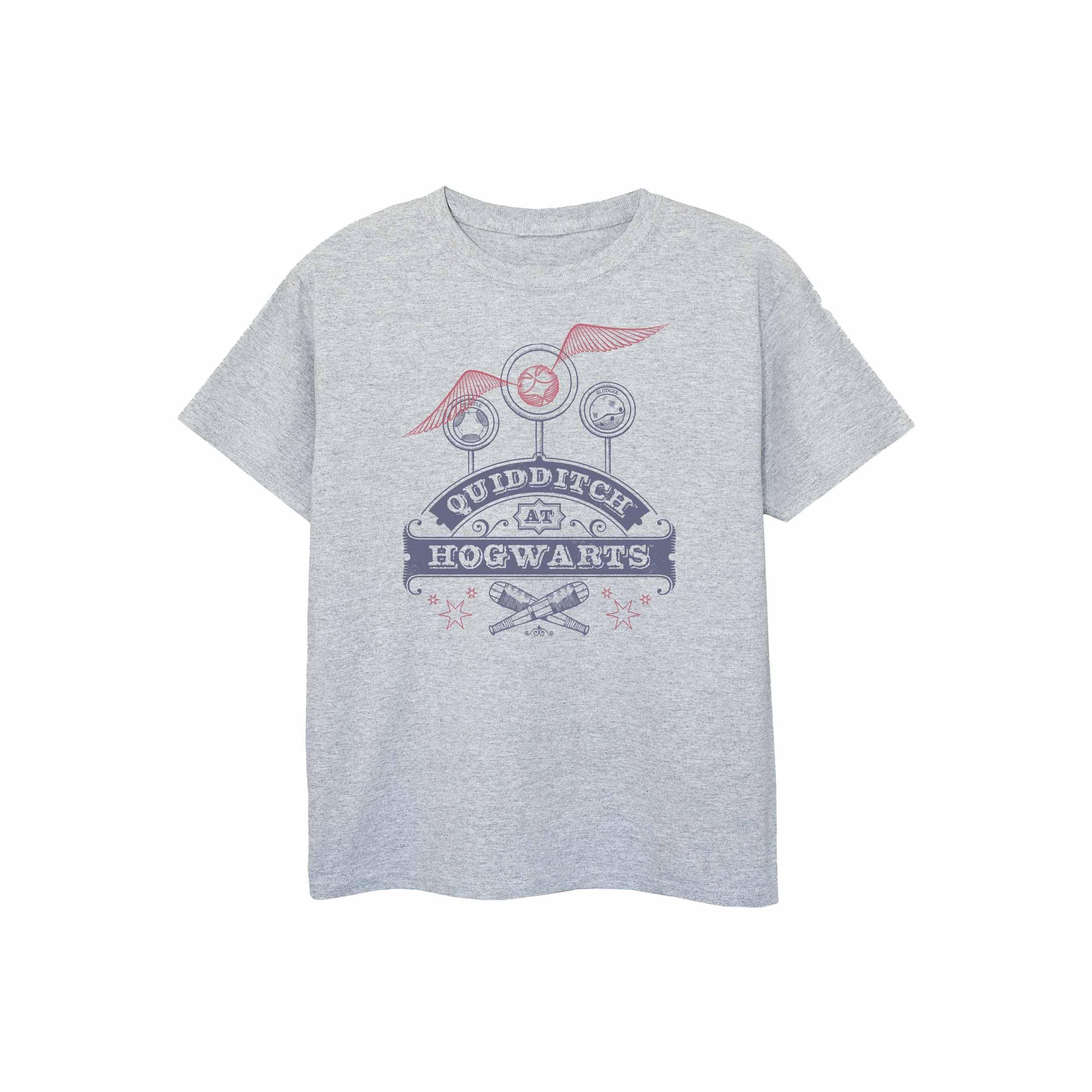 Harry Potter Girls Quidditch At Hogwarts T-Shirt 9-11 Years grijs