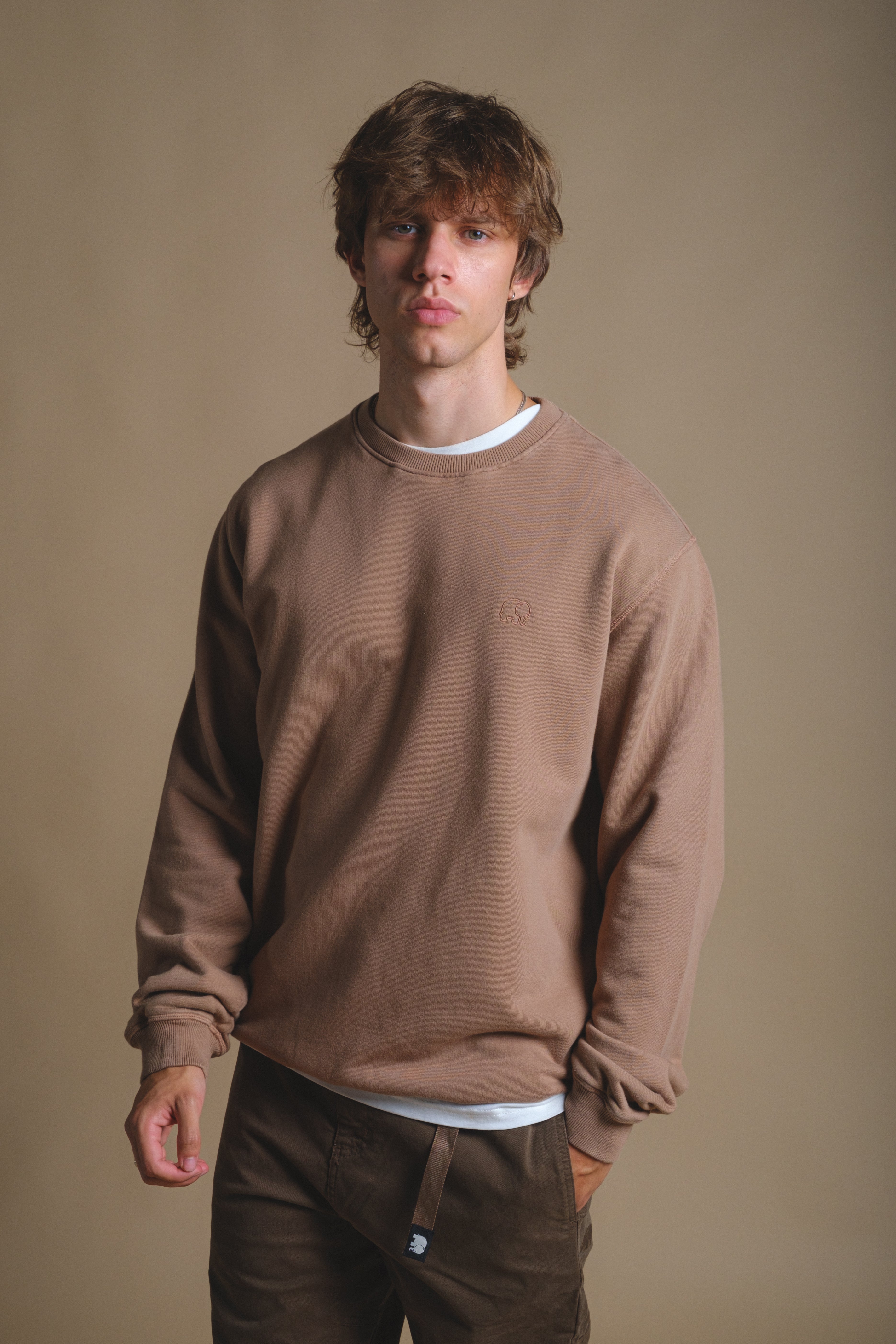 Trendsplant Herren vegan Pullover Heavyweight Essential Caribou Brown