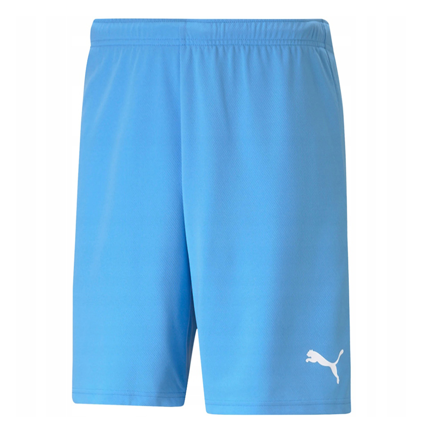 Puma Heren teamrise korte broek