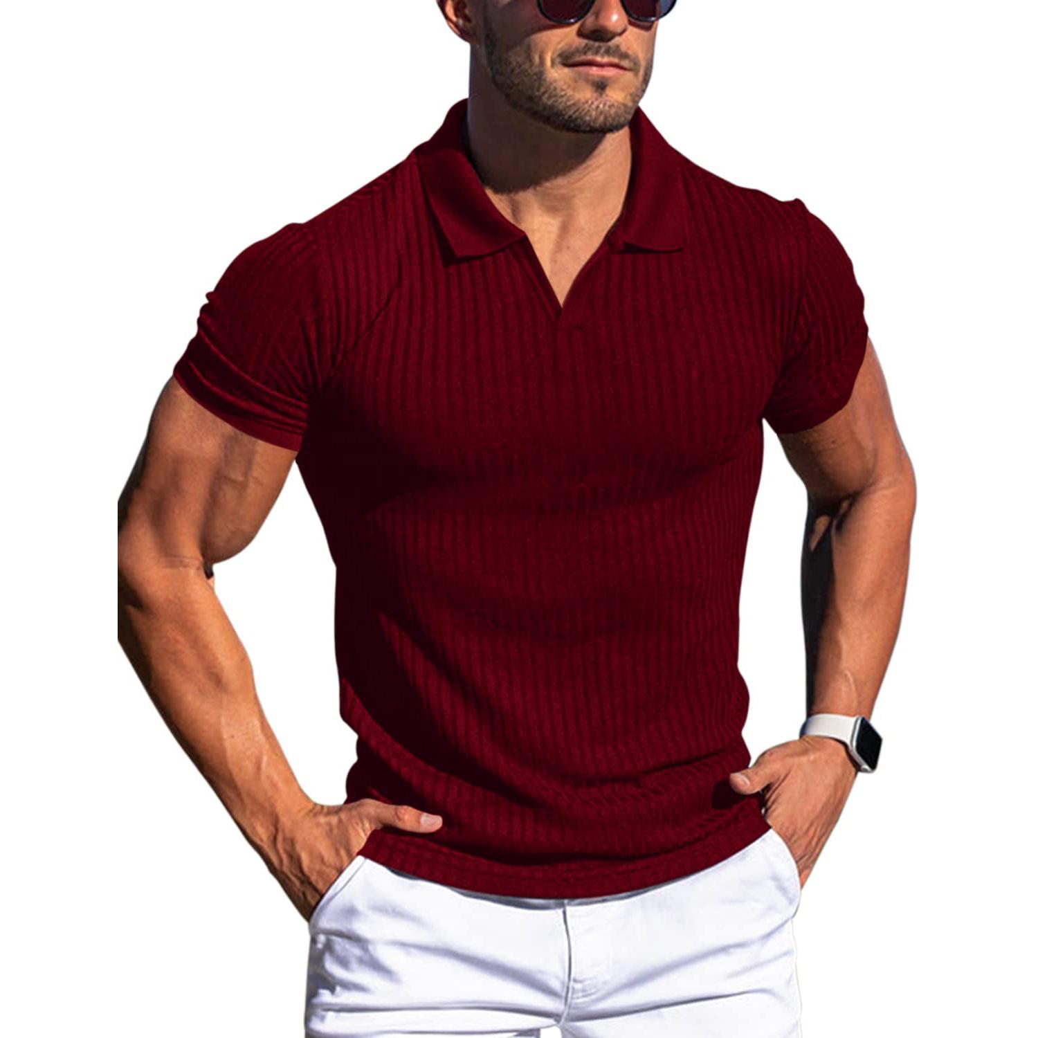 Phoca largha Heren Spier V-hals Poloshirts Slim Fit Korte Mouw Golf T-shirts Geribbelde Gebreide Zachte T-shirts Zomer Kraag Pullover voor Heren Ademende T-shirts M