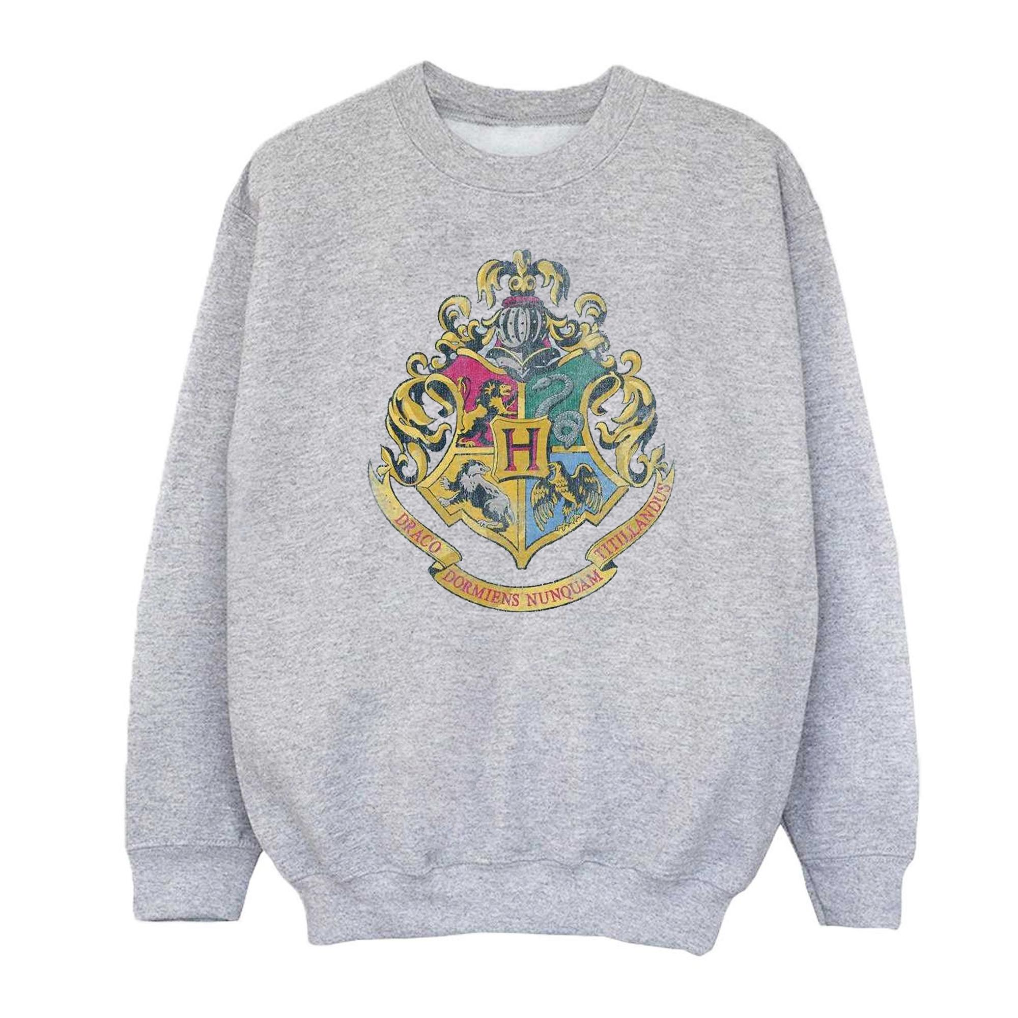 Harry Potter Girls Hogwarts Houses katoenen sweatshirt 9-11 Years grijs