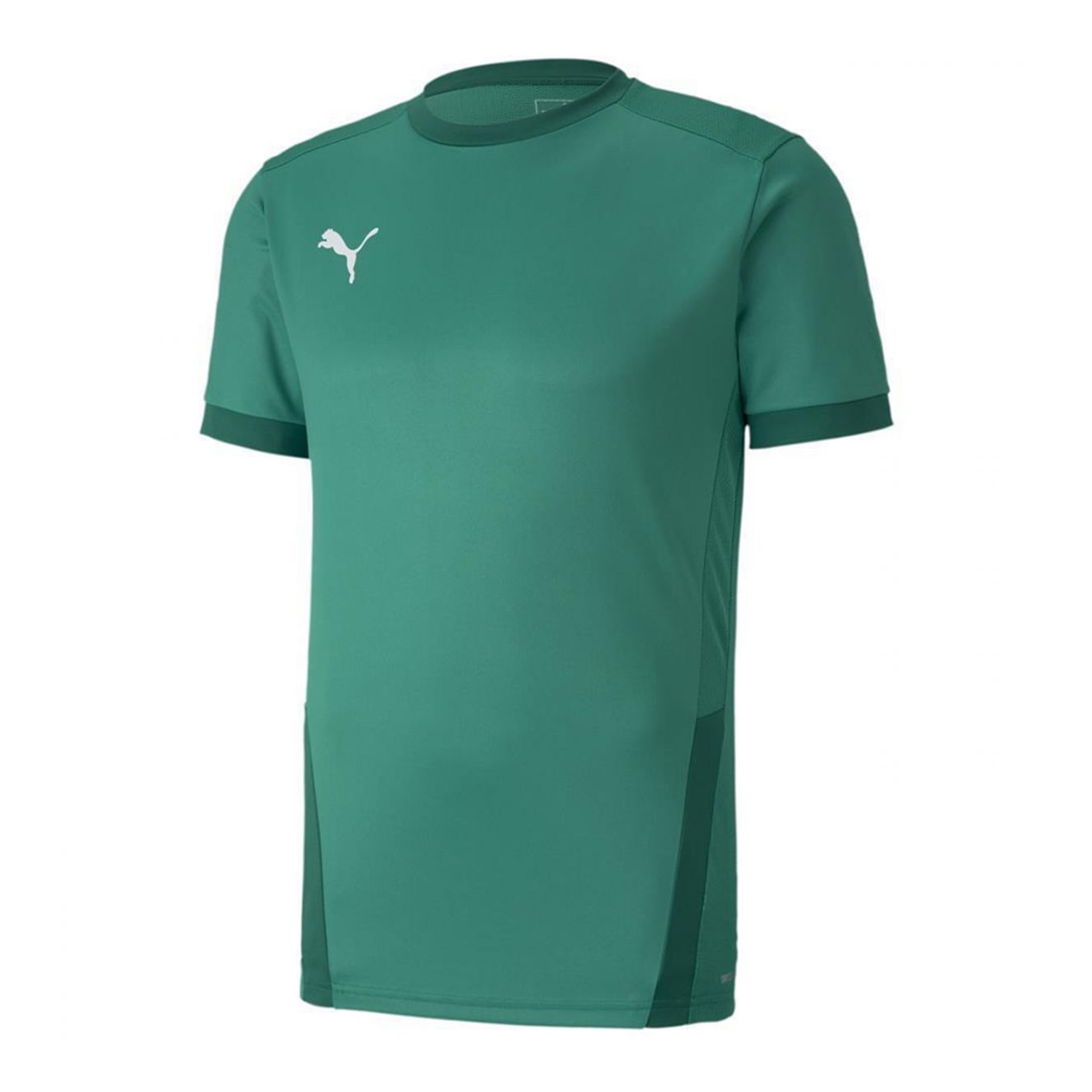 Puma Heren teamgoal 23 jersey