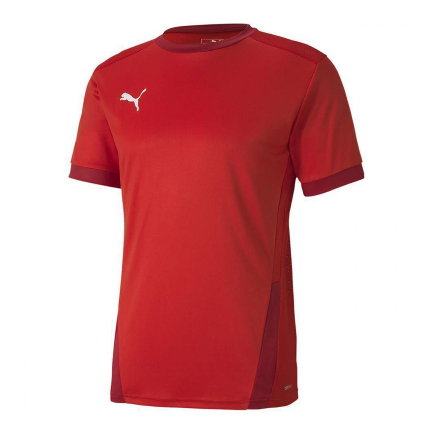 Puma Heren teamgoal 23 jersey