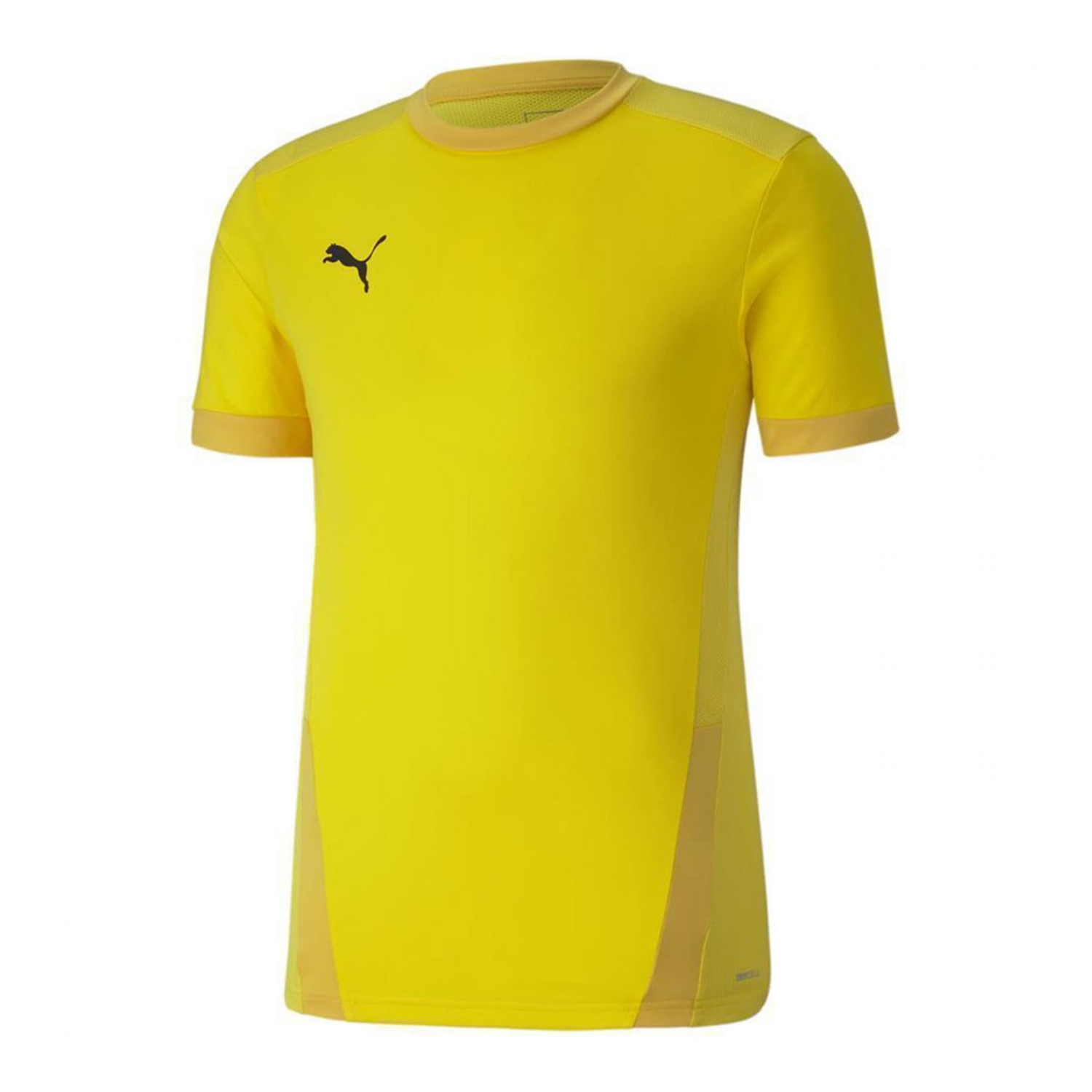 Puma Heren teamgoal 23 jersey