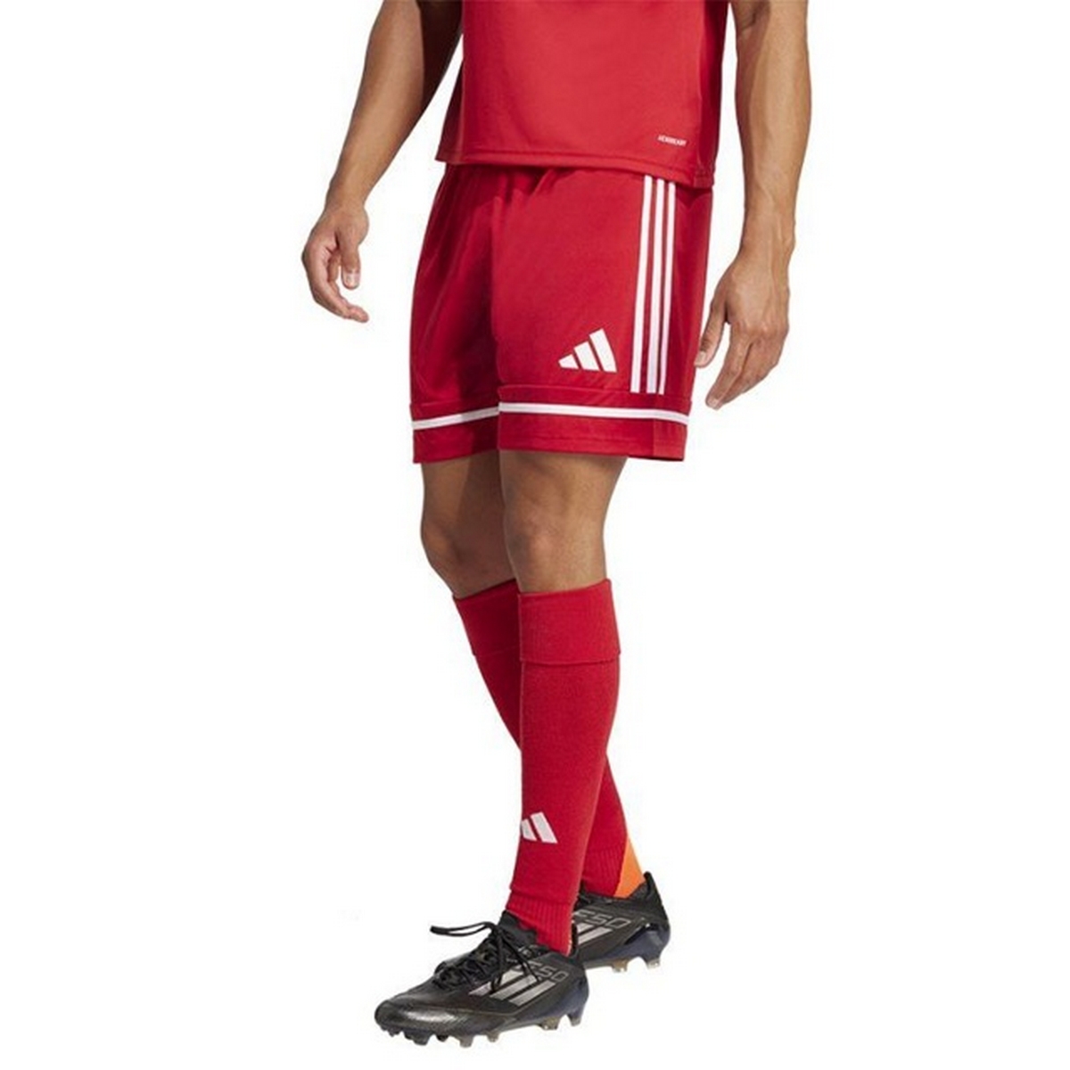 Adidas Heren squadra 25 korte broek