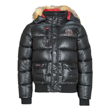 Geographical norway Donsjas  BUGS