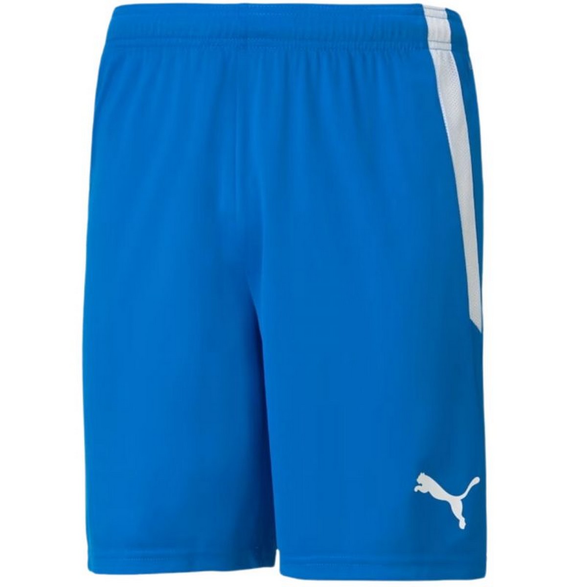 Puma Heren teamliga shorts